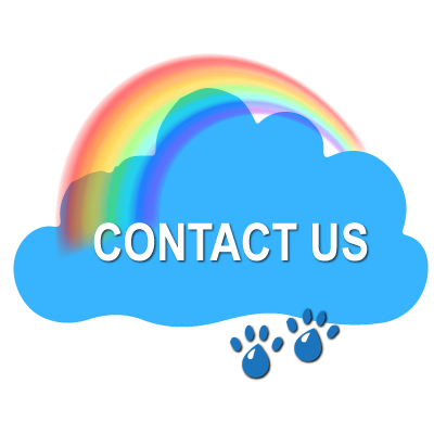 Contact Rain & Rainbows Vet Clinic